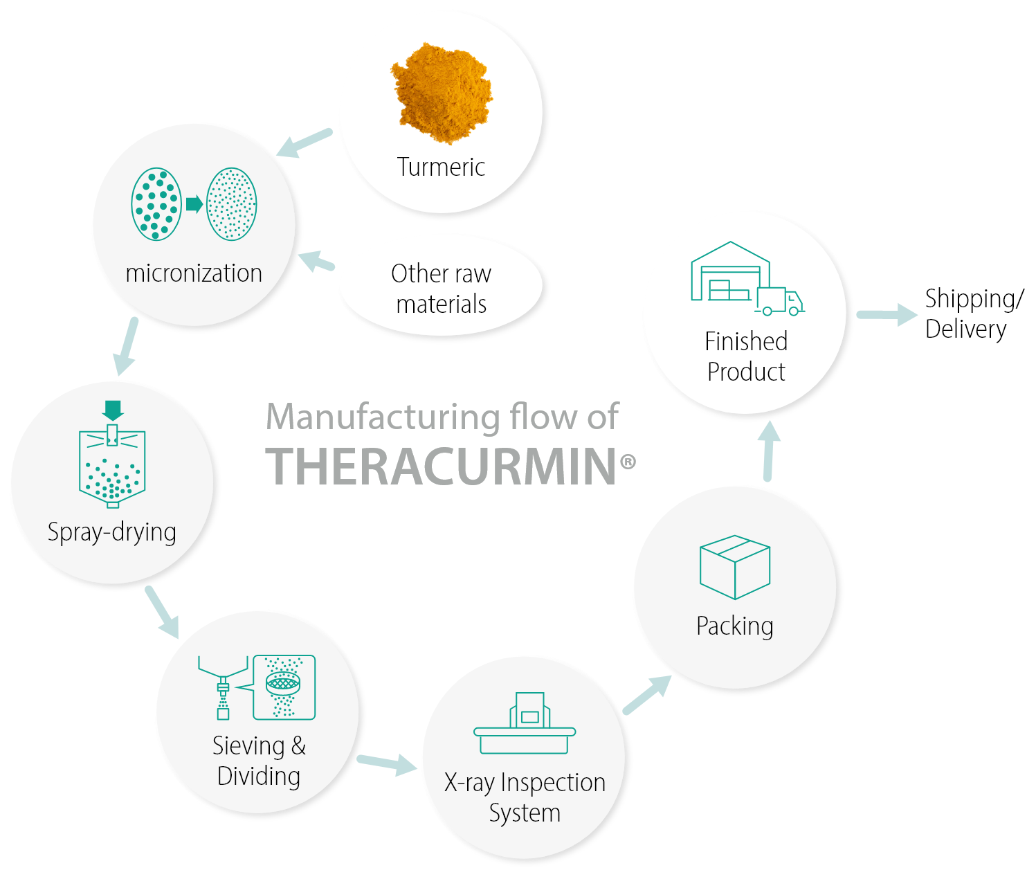 Manufacturing flow of THERACURMIN®