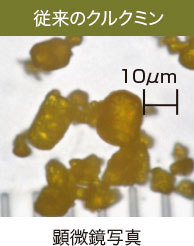 従来のクルクミン 顕微鏡写真